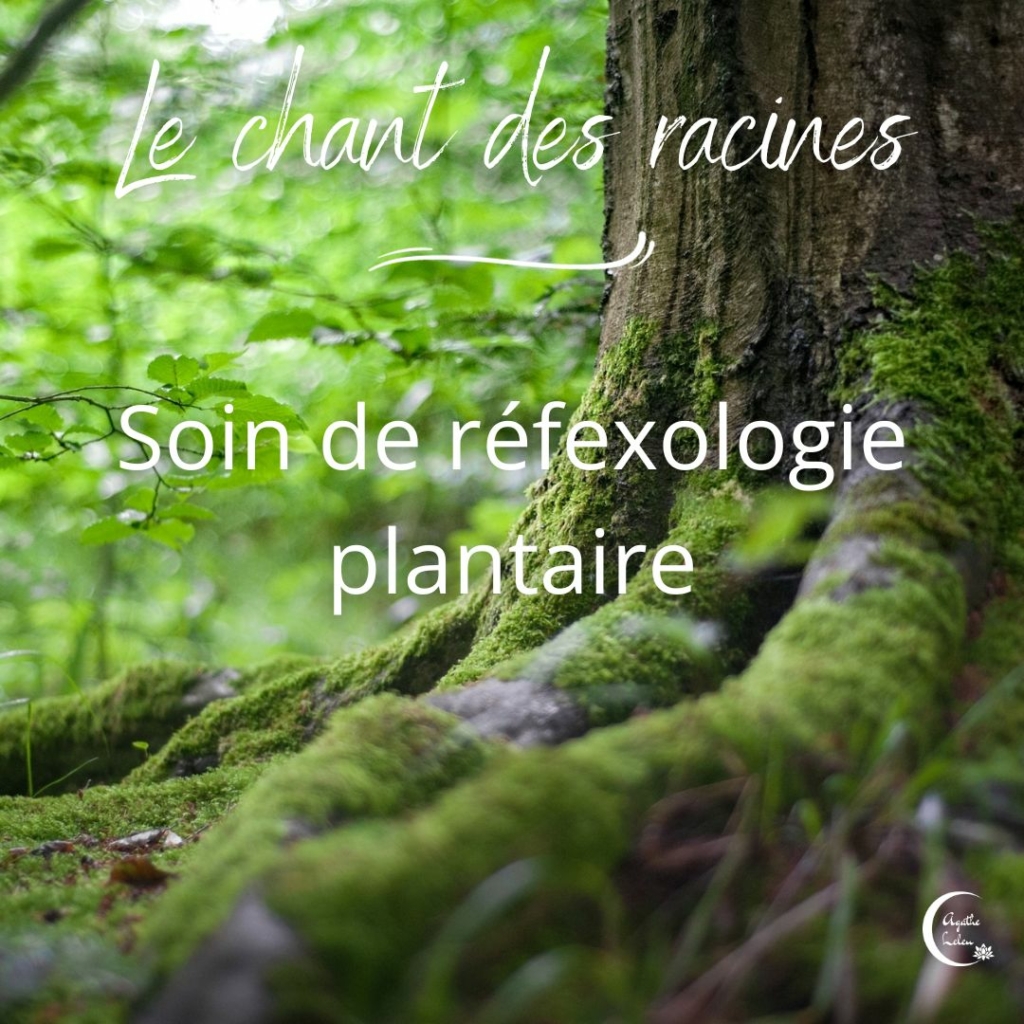 réflexologie-plantaire