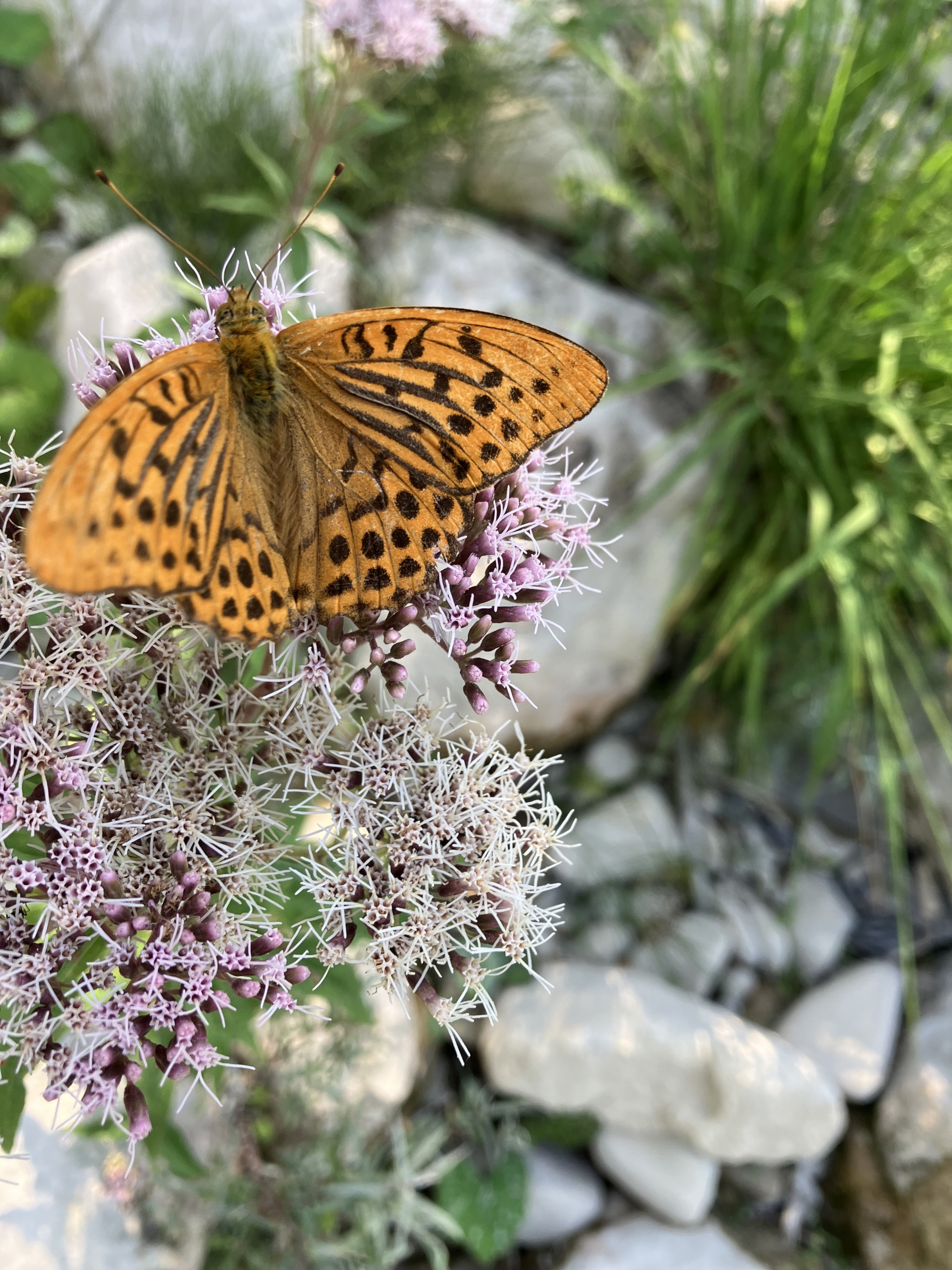 Participants explorant le Travail de Byron Katie lors d’un atelier interactif, guidés dans l’expression de leurs pensées et questionnements.