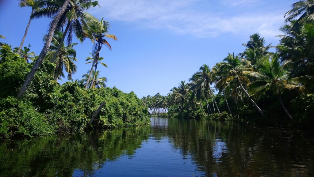 Groupe de participants profitant d’une balade en bateau dans les backwaters