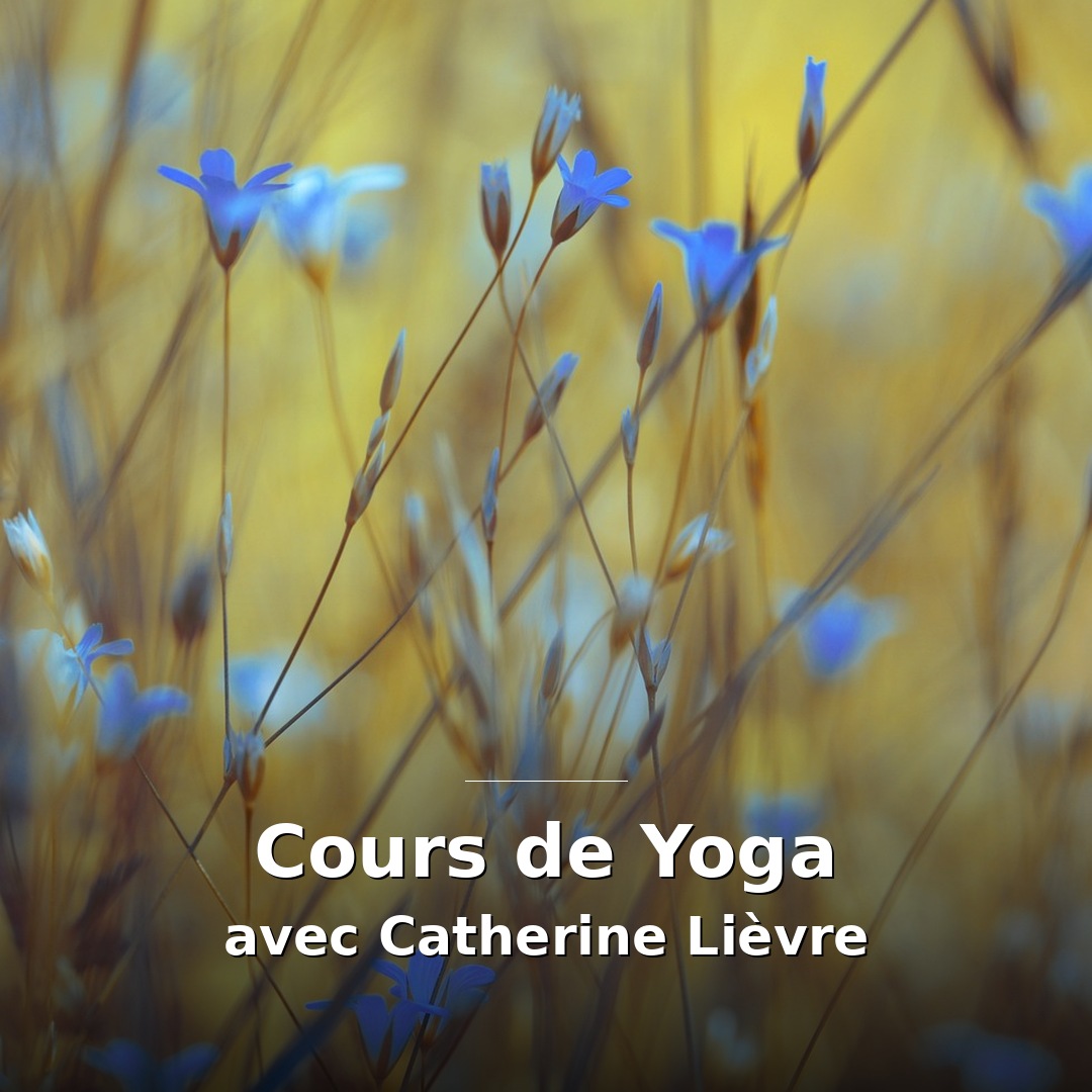 Cours de yoga avec Catherine Lièvre au Centre Om Vitae, Vaugneray