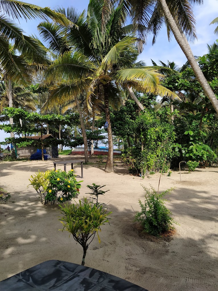 Plage où l'on pratiquer la méditation, le Qi Gong et le Yoga face à l’océan à Marari Beach
