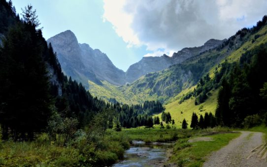 Week-end Yoga-Danse afro en Nature